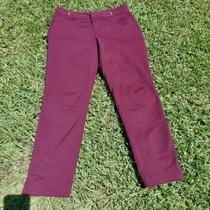 Burgandy Slacks